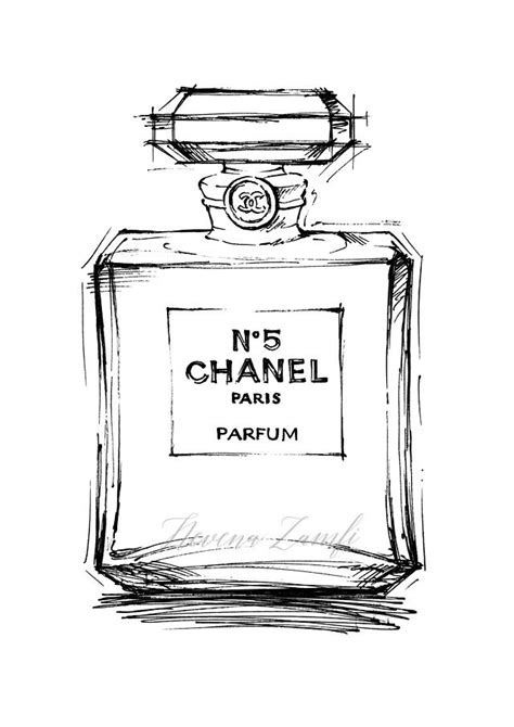 chanel drawing perfume|Chanel no 5 sketch.